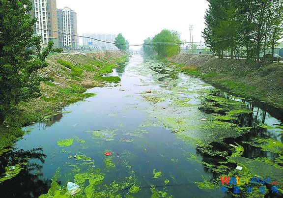 點擊打開原圖