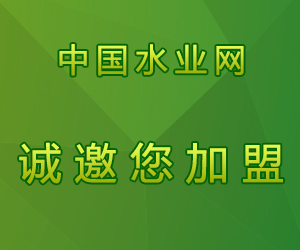 新聞頁面廣告 300x250