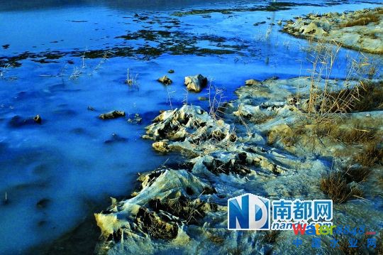 污水池周邊的荒草上,覆蓋著厚厚的沉淀物。 污水池周邊的荒草上,覆蓋著厚厚的沉淀物。