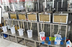 6個生態系統依次相連,形成一套完整的有機廢水轉化生物基醇的實驗裝置。