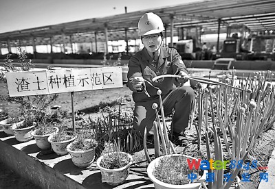 五月九日,陜西靖安含油污泥處理廠員工在介紹用含油污泥無害化處理后的土壤種植的各類蔬菜長勢情況。
