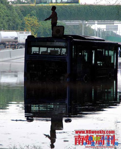 廣州“水戰”:鯉魚在高樓間水中暢游