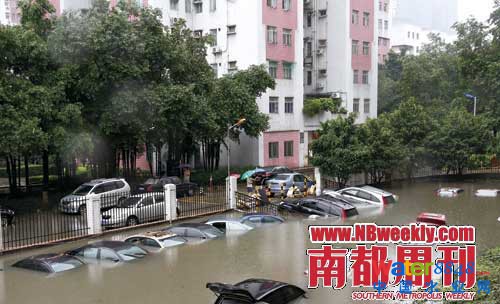 廣州“水戰”:鯉魚在高樓間水中暢游