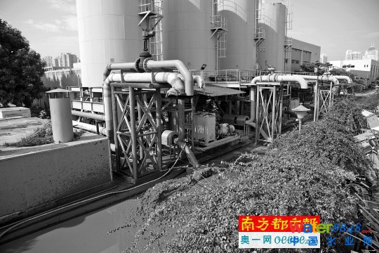 獵德污水廠運污泥 臨江大道臭味飄