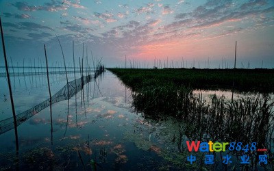 武漢年內將完成斧頭湖流域生態保護規劃(高清)