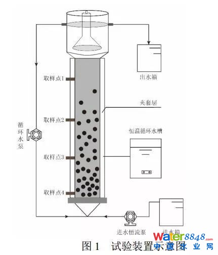 鐵離子對(duì)厭氧氨氧化污泥富集培養(yǎng)的影響