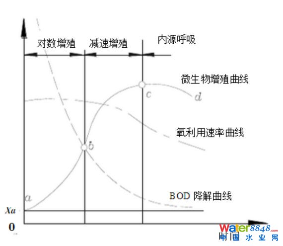 活性污泥的性能指標(biāo)是什么?污泥膨脹有幾種?活性污泥法運(yùn)行關(guān)注點(diǎn)是什么?