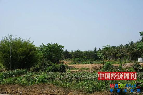 村民所指出的荒地,在花卉大世界東部兩三公里處。(《中國經濟周刊》記者 賈國強 | 攝)