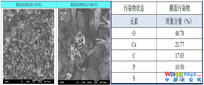 pӷB͸ϵyϷ